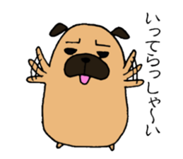 Everyday playful pug sticker #9100145