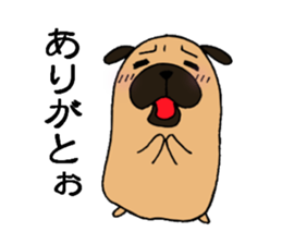 Everyday playful pug sticker #9100154