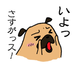 Everyday playful pug sticker #9100157