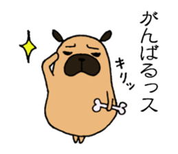 Everyday playful pug sticker #9100160
