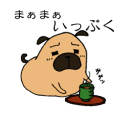 Everyday playful pug sticker #9100162