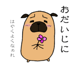 Everyday playful pug sticker #9100163