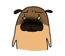 Everyday playful pug sticker #9100176