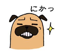Everyday playful pug sticker #9100178