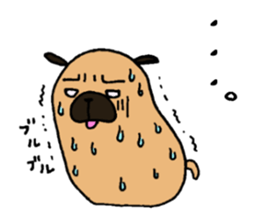 Everyday playful pug sticker #9100179