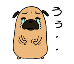 Everyday playful pug sticker #9100180