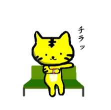 tabby cat 3 sticker #9101038