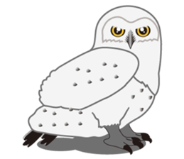 white owl that was dressed in like snow. sticker #9101145