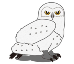 white owl that was dressed in like snow. sticker #9101145