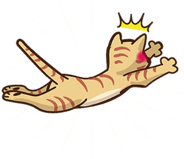 There are 40 cats sticker #9101466