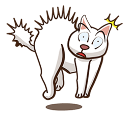 There are 40 cats sticker #9101472