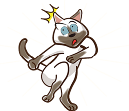 There are 40 cats sticker #9101473