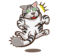 There are 40 cats sticker #9101485