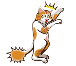 There are 40 cats sticker #9101488