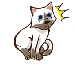 There are 40 cats sticker #9101491