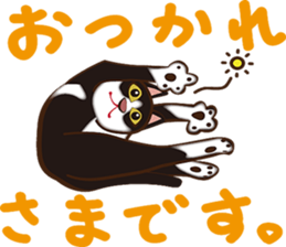 There are 40 cats sticker #9101493