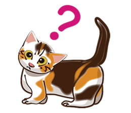 There are 40 cats sticker #9101497