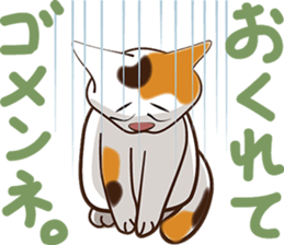 There are 40 cats sticker #9101498