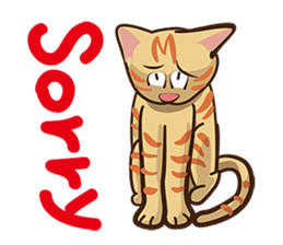 There are 40 cats sticker #9101500