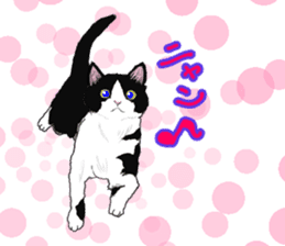 Lovery kitten vol.3 sticker #9101787
