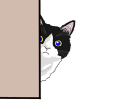 Lovery kitten vol.3 sticker #9101788