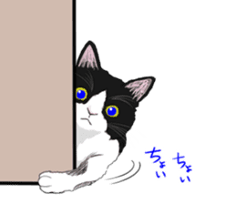 Lovery kitten vol.3 sticker #9101789