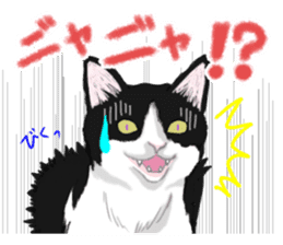 Lovery kitten vol.3 sticker #9101792