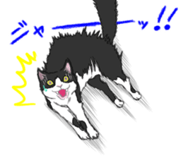 Lovery kitten vol.3 sticker #9101793