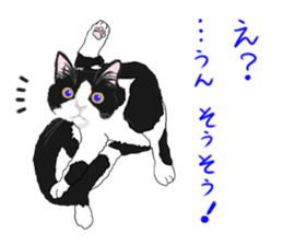 Lovery kitten vol.3 sticker #9101795