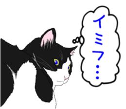 Lovery kitten vol.3 sticker #9101799