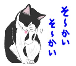 Lovery kitten vol.3 sticker #9101808