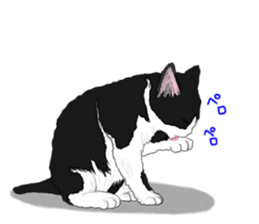 Lovery kitten vol.3 sticker #9101813