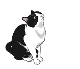 Lovery kitten vol.3 sticker #9101816