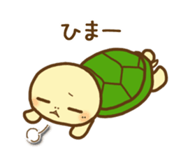 KAMETA(turtle) 1 sticker #9105623