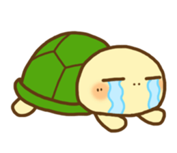 KAMETA(turtle) 1 sticker #9105641