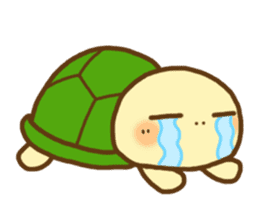 KAMETA(turtle) 1 sticker #9105641