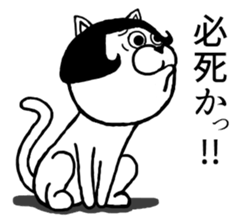 Bob hair cat sticker #9105757