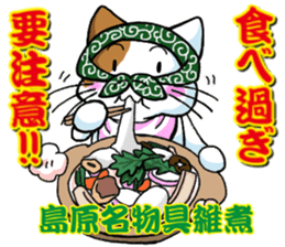 Theft Cat NEW YEAR sticker #9108036