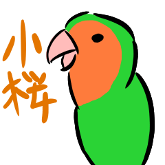 Rosy-faced lovebird Sticker