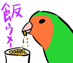 Rosy-faced lovebird Sticker sticker #9108337