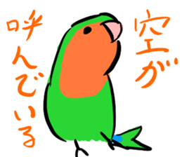 Rosy-faced lovebird Sticker sticker #9108343