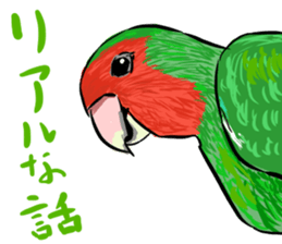 Rosy-faced lovebird Sticker sticker #9108347