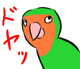 Rosy-faced lovebird Sticker sticker #9108355
