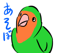Rosy-faced lovebird Sticker sticker #9108367