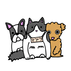 Cat store manager Oahu