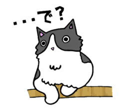 Cat store manager Oahu sticker #9108370