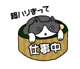 Cat store manager Oahu sticker #9108372