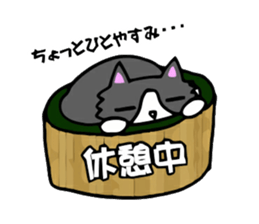 Cat store manager Oahu sticker #9108373