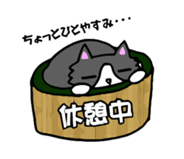 Cat store manager Oahu sticker #9108373