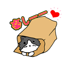 Cat store manager Oahu sticker #9108383